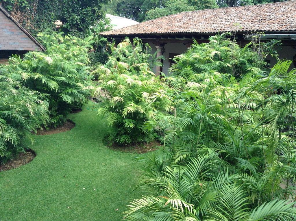 Hacienda San Pedro Hotel Uruapan  Exterior photo